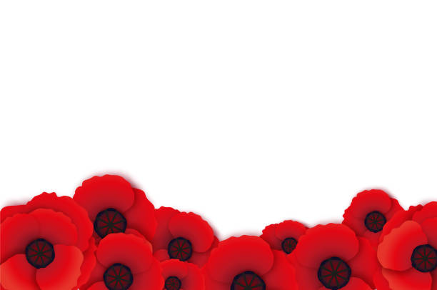 anzac-tag mit leuchtend roter mohnblume im papierschnitt-stil. damit wir es nicht vergessen. nationaler gedenktag in australien und neuseeland. 25. april. platz für text. - lest we forget stock-grafiken, -clipart, -cartoons und -symbole