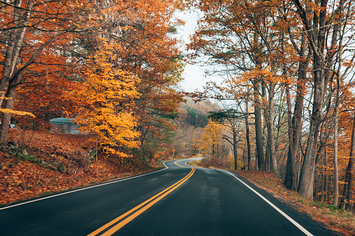 autumnal road in new england
