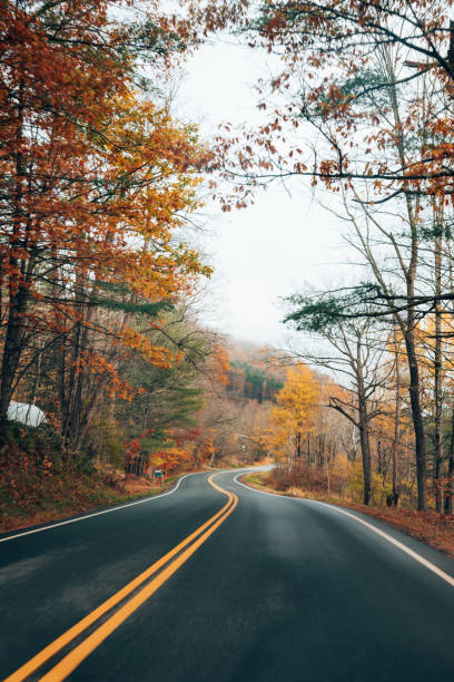 istock autumnal road in new england 1370860345