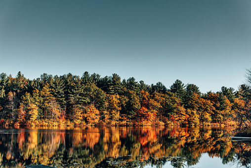 Beautiful autumn landscape. Lake with reflections of yellow autumn forest
