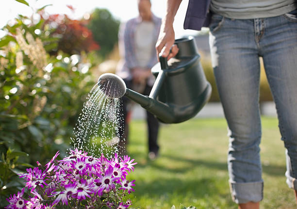 femme arroser les fleurs dans le jardin avec arrosoir - watering can growth watering gardening photos et images de collection