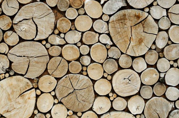 istock wooden logs. Wooden round stumps background 1370865213