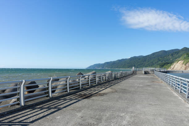 istock Embankment landscape 1370869153