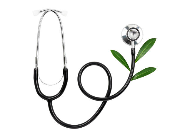 istock Stethoscope with green leaves isolated on white background 1370869373