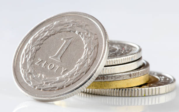istock Coin 1 zloty. Currency Poland. 1370870637