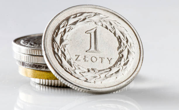 istock Coin 1 zloty. Currency Poland. 1370870699