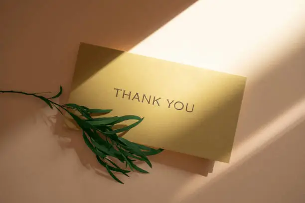 Photo of Light and thank you card