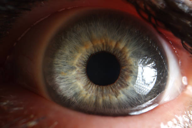 istock Macro view of open human eye, small pupil 1370876307