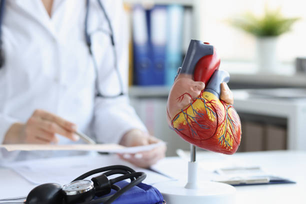 modelo anatómico del corazón en la mesa del médico, borroso - cardiologist fotografías e imágenes de stock