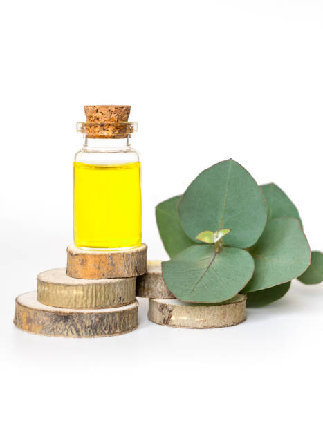 istock Herbal oil and eucalyptus on wooden stands 1370876684