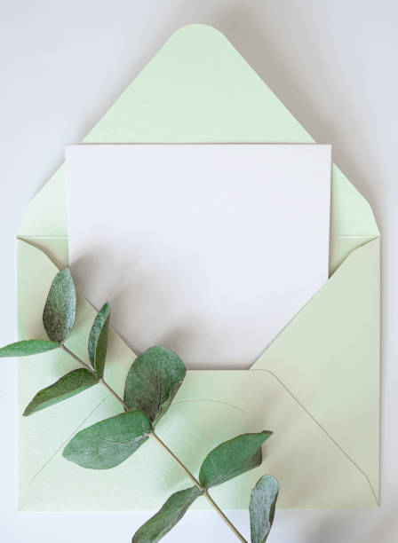 istock eucalyptus branch and green envelope with copy space 1370876688
