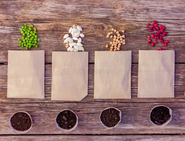 agricultural seeds in paper packets next to small pots with soil for planting on a rustic wooden table, top view.
