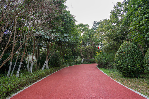 The red asphalt runway in the park is flanked by trees.