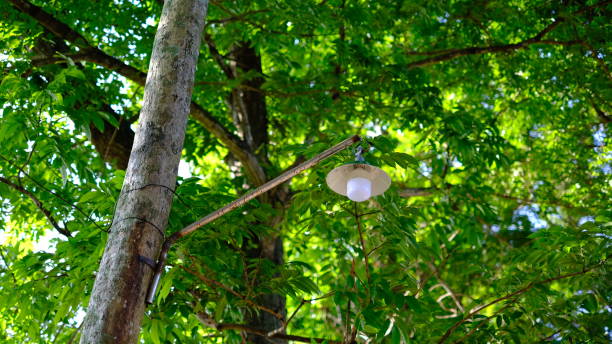 istock Streetlight with green background 1370882280
