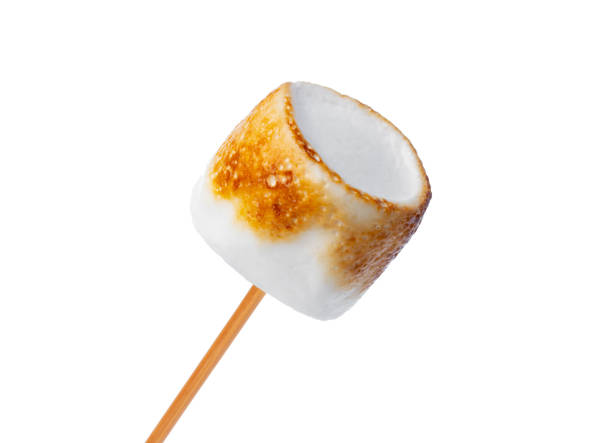 istock Grilled marshmallows on sticks isolated on white 1370883965