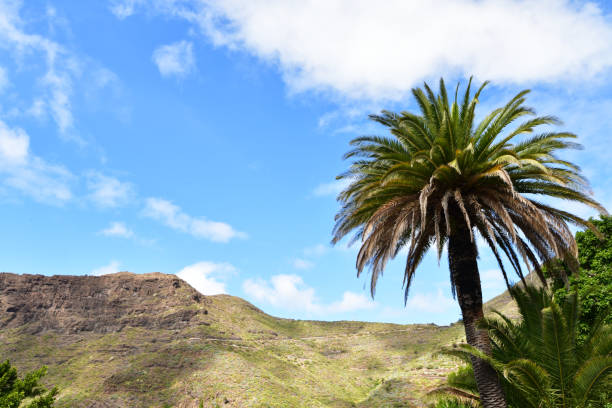 Tenerife , canary islands nature , clouds , spain volcano