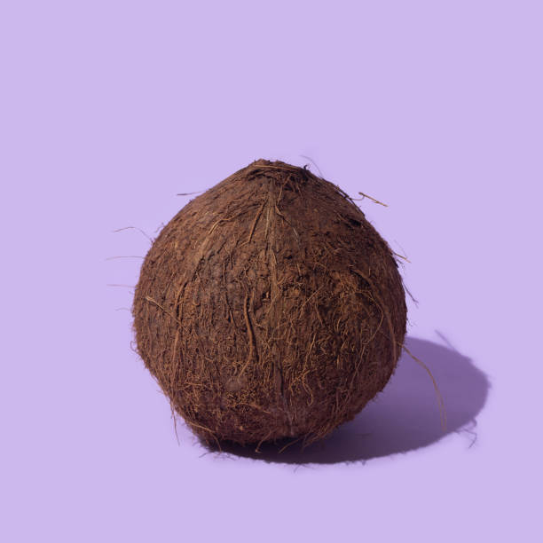 istock Fresh organic coconut alone against very peri background 1370886665