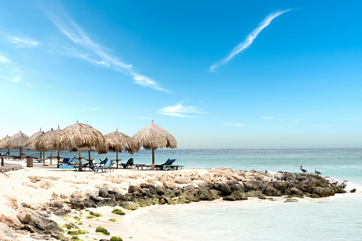 Thatched roofs beach in Aruba