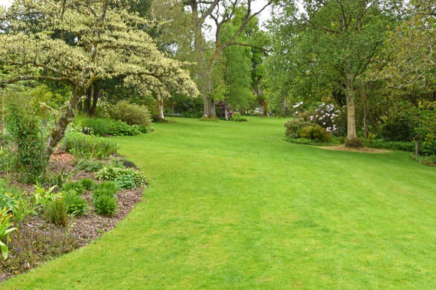 istock The perfect country garden 1370887580