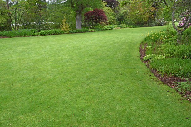 istock The perfect country garden 1370887596