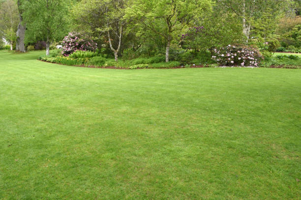 istock The perfect country garden 1370887617