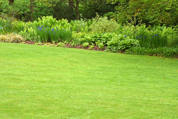 The perfect country garden stock photo