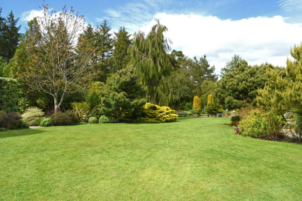 The perfect country garden stock photo