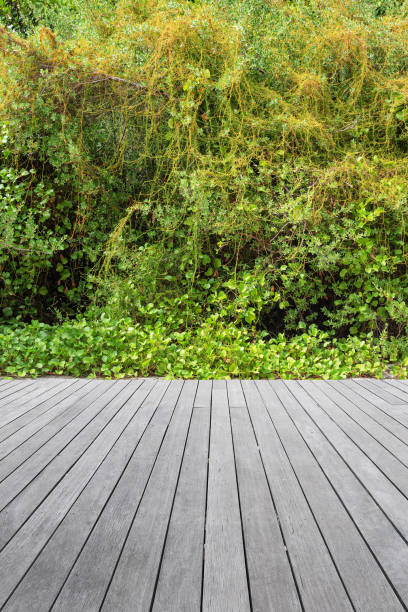 istock Empty wooden terrace beside tropical green hedge 1370890459