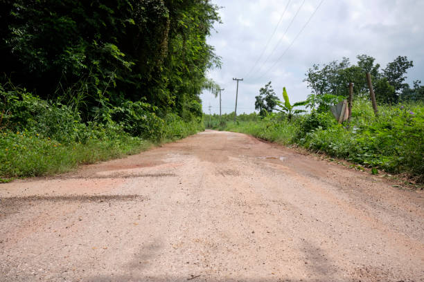istock Road through bamboo creek in countryside at twilight 1370891056