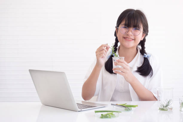 Asian student holding plant in side. Children scientists making experiments in the laboratory. Educational concept.