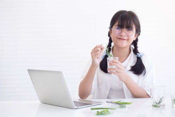 Cute little student learning research and analysis for plants with Laptop. Scientific experiment.