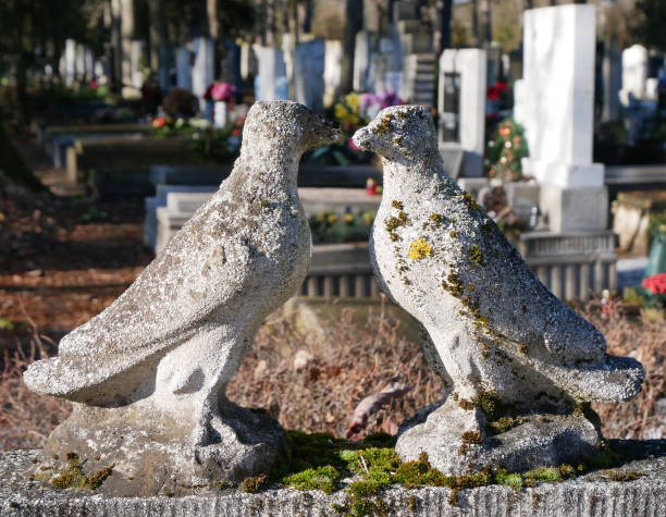 Tombstones in the public cemetery