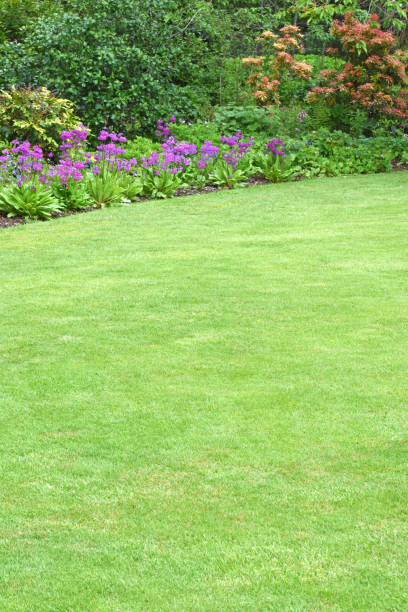 istock The perfect country garden 1370897536