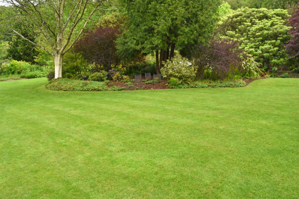 istock The perfect country garden 1370897586