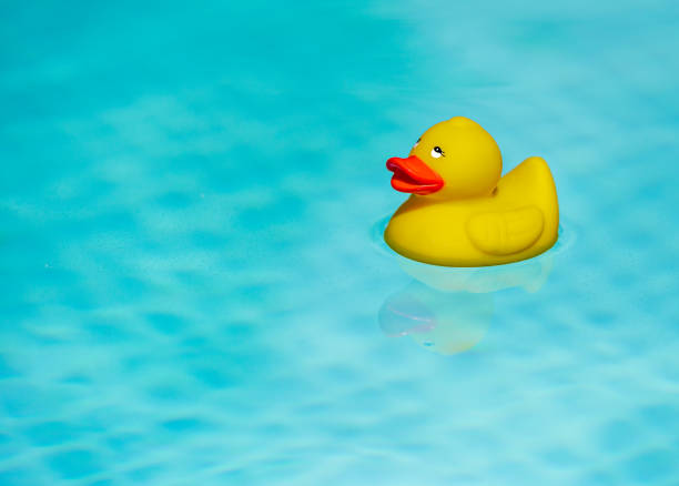 istock Yellow rubber duck in the pool 1370903799