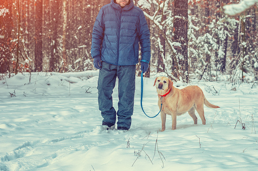 Happy man with dog walking in a winter snowy forest