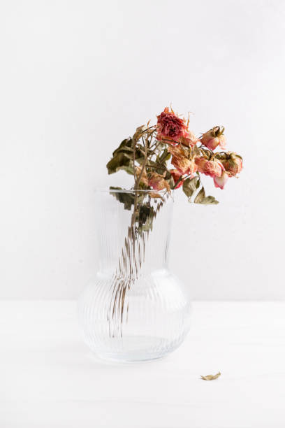 istock Dried flowers in a vase on a table against a light background. Space for text 1370906775
