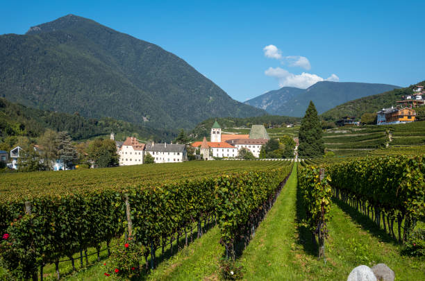 Varna, Italy, panoramic view with the vineyards of the  Abbey of Novacella