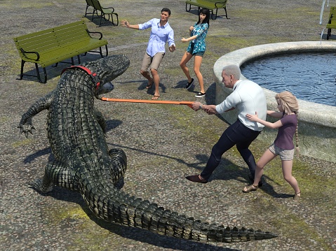 Laplace, LA, USA. 8 June 2023. Man feeds alligators on a Louisiana swamp tour, while others look on.
