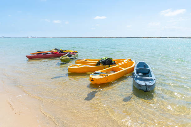 Kayaks at Muro Alto beach, Ipojuca PE Brazil stock photo