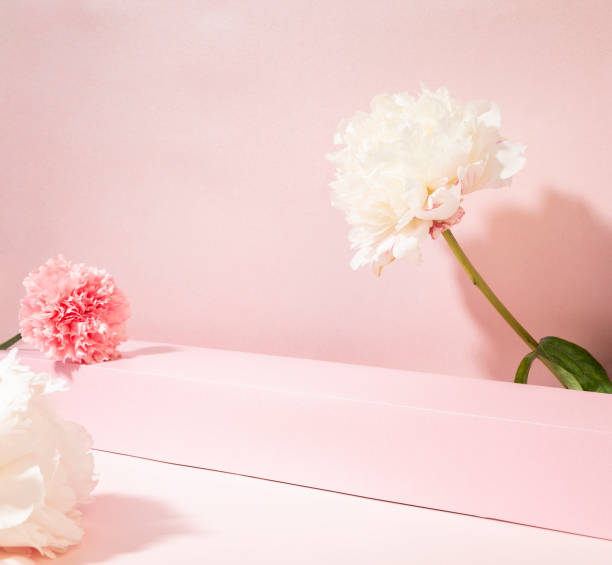 istock flowers on a pink background 1370909638