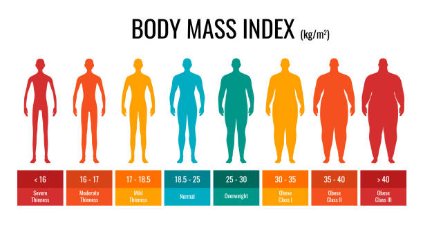 ilustrações, clipart, desenhos animados e ícones de conjunto de homens de medição do gráfico de classificação do imc. infográfico do índice de massa corporal masculina com status de peso de baixo peso para obesidade grave. gráfico de controle de massa do corpo médico. ilustração vetorial - body shape