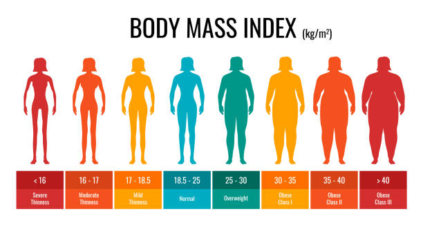 bmi 분류 차트 측정 여자 세트. 여성 체질량 지수 인포그래픽은 저체중에서 가혹하게 비만에 이르는 체중 상태를 가지고 있습니다. 의료 체 질량 제어 그래프. 벡터 일러스트레이션 - emaciated weight scale dieting overweight stock illustrations