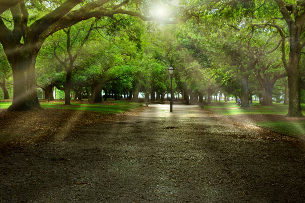 parque à beira-mar ao lado do porto em charleston carolina do sul - charleston harbor - fotografias e filmes do acervo