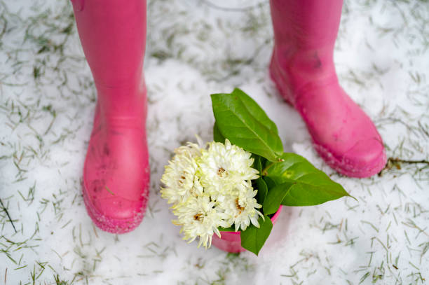 Pink rubber boots with a pot of fresh flowers