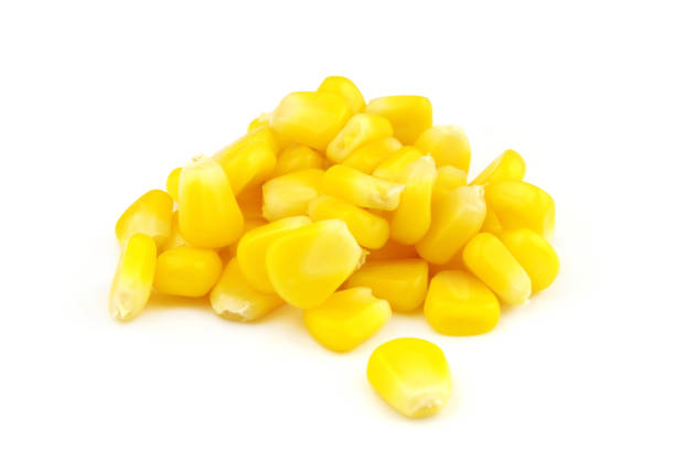 istock Heap of corn seeds isolated on white 1370910972