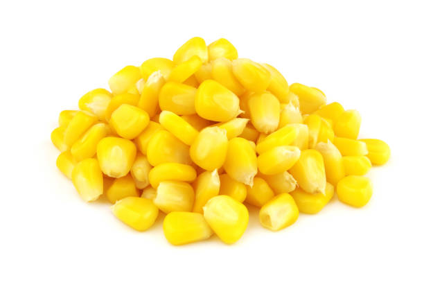 куча семян кукурузы, выделенная на белый - corn kernel стоковые фото и изображения