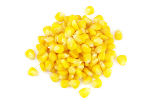 istock Heap of corn seeds isolated on white 1370910995