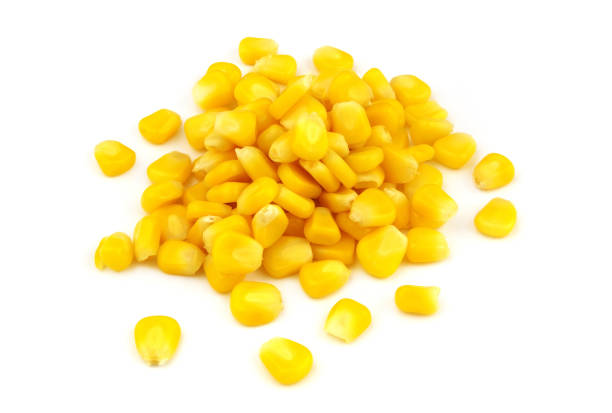 istock Heap of corn seeds isolated on white 1370911012