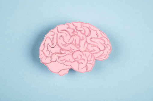Human brain made of paper  isolated on blue background
